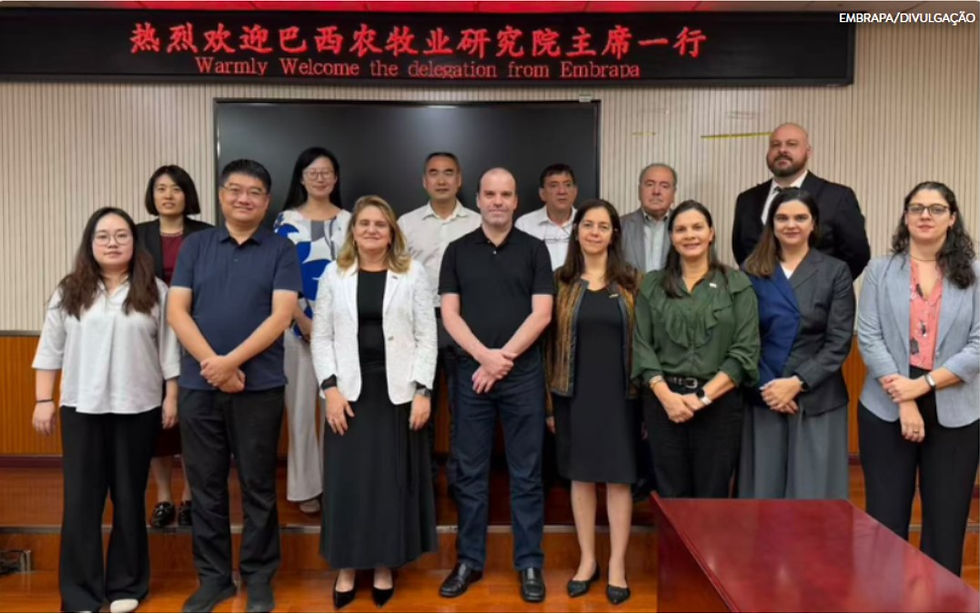 Embrapa participa de missão na China em busca de cooperação científica na agricultura