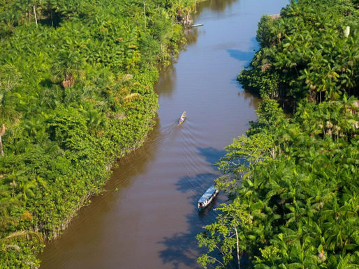 Dia da Proteção da Floresta: Parlamento Paraense Reafirma Compromisso com a Amazônia