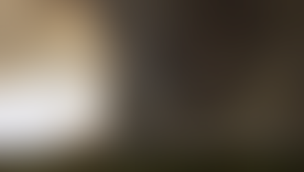 Fogo avança e queima 700 hectares do Parque Nacional de Brasília