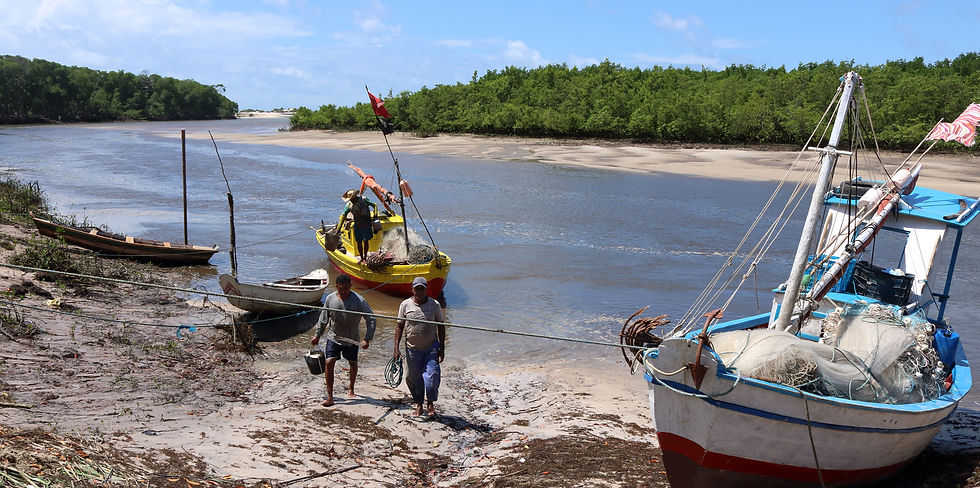 Foto (Crédito: Eduardo Queiroz/Amazônia Real)
