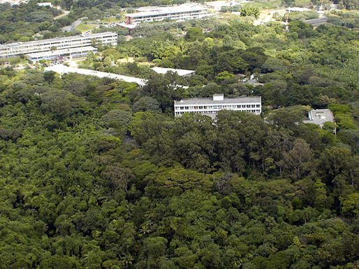 USP é a 13ª universidade mais sustentável do mundo