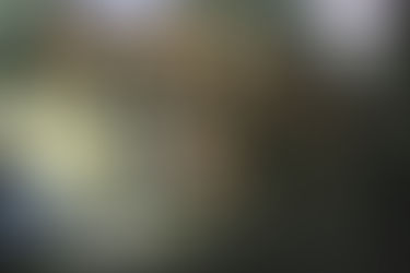 TCE Amazonas mantém multa de 23 milhões ao prefeito de Parintins