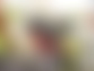 Museu na Floresta revitaliza Torre de Observação do Inpa para servir ao turismo científico