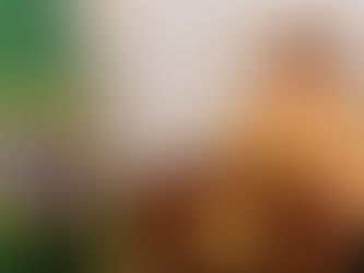 Governo está preparando reforma do PIS e da Cofins, anuncia Dilma