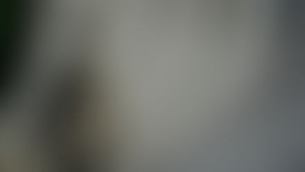 Moraes nega visita de Valdemar e Malta a Bolsonaro 