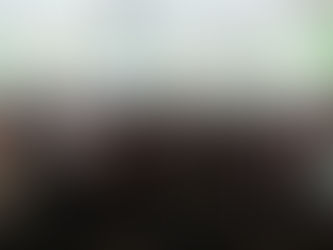 Inpa sedia IV Workshop Annual do Climate Science for Services Partnership (CSSP) Brazil