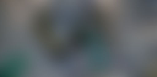 Cutias podem ajudar restauração florestal no Parque Nacional da Tijuca