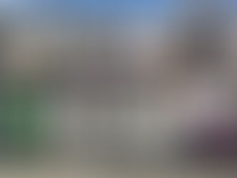 Brasileiros no exterior fazem ato pela democracia no 1º de maio