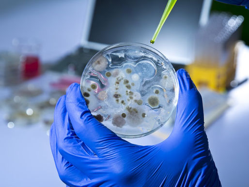 EUA detectam primeiro caso de bactéria ultrarresistente a antibióticos