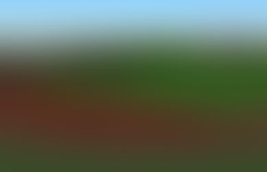 Universidade Federal de Tocantins terá pista de atletismo