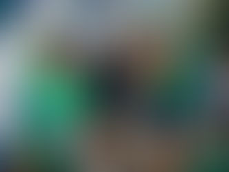 Bolsonaro em Belém não cita a Amazônia e dá carona a defensor do garimpo