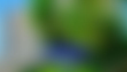 STM declara perda da patente de capitão da Marinha por peculato