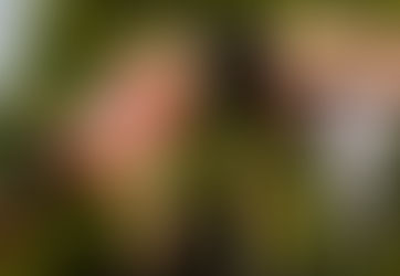 Sul-Americano sub-23 de atletismo terá a participação de 12 países