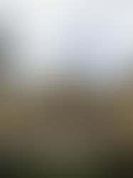 Entenda o que acontece no Rio com a renúncia de Cláudio Castro