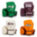 Luva de Couro Fairtex Muay Thai Boxe BGV16