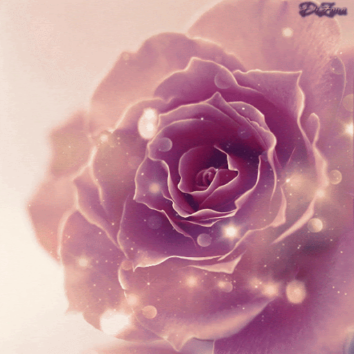 ROSE OF LIGHT RETREAT