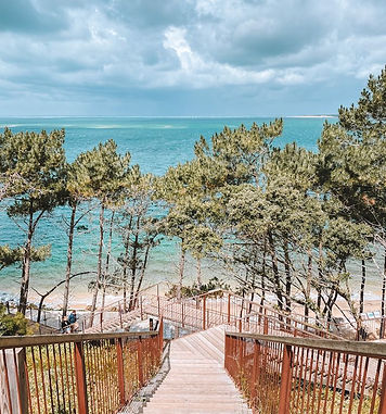 Ambiance Olfactive Hôtel Luxe pour Hotel et Villa du Bassin d'Arcachon
