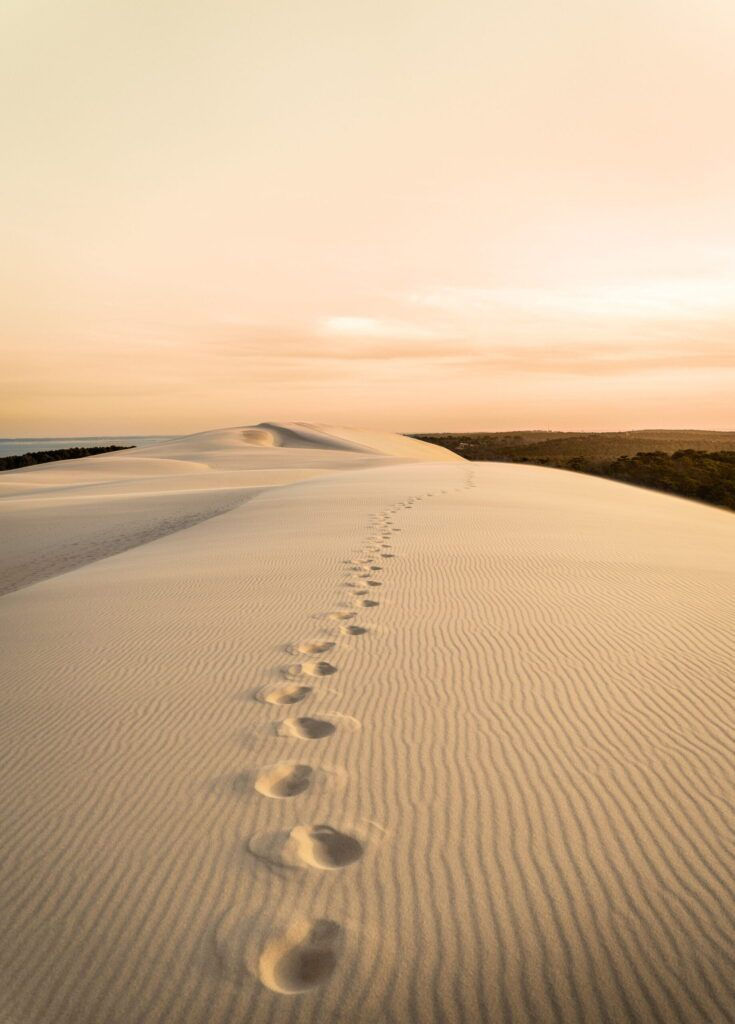 Marketing olfactif pour Hotel et Villa du Bassin d'Arcachon