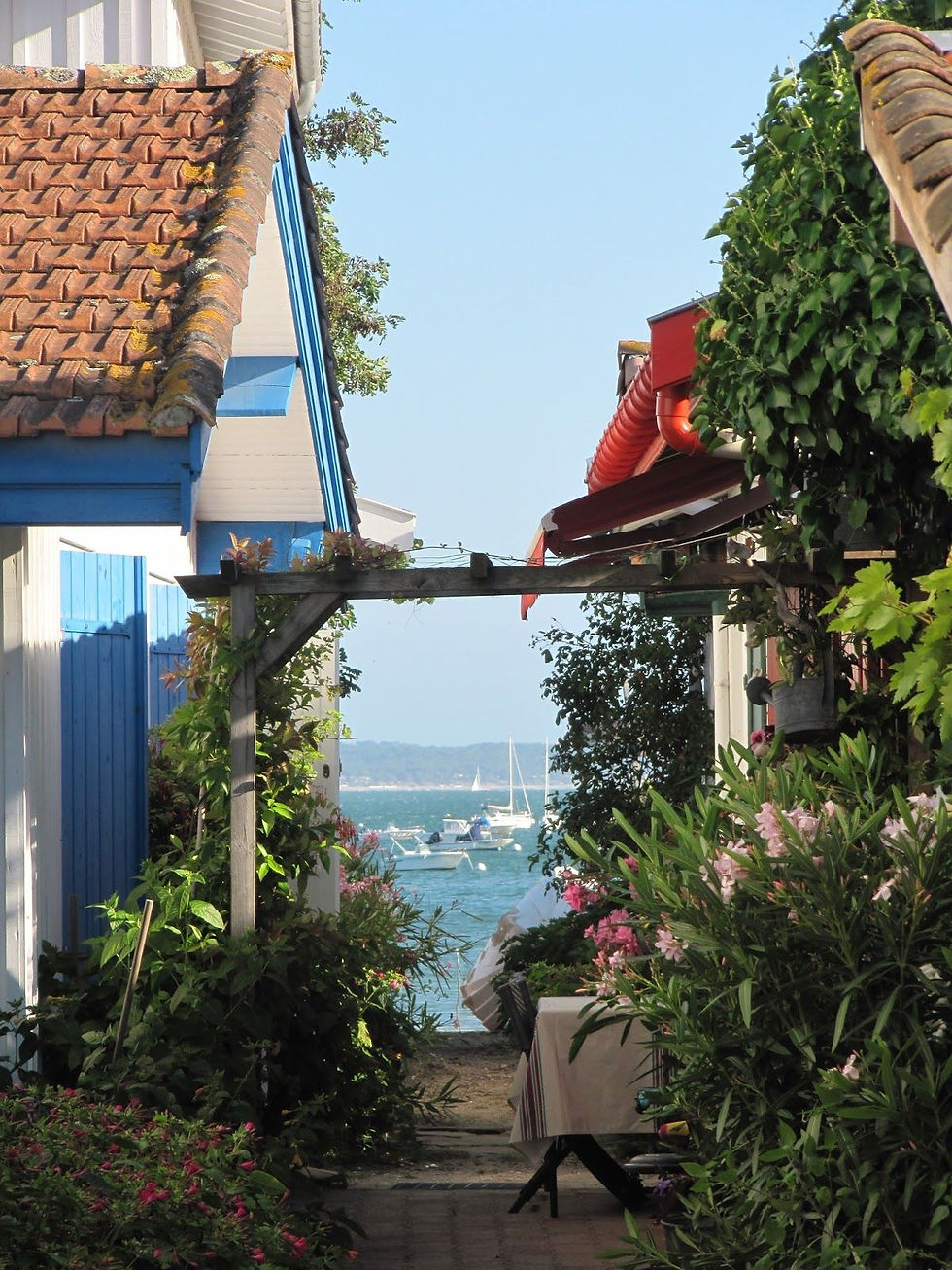 Création Signature Olfactive Luxe pour Hotel et Villa du Bassin d'Arcachon