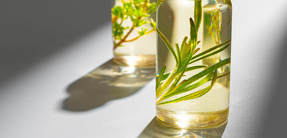IDENTITE-OLFACTIVE-ECOFRENCHLAB.jpg