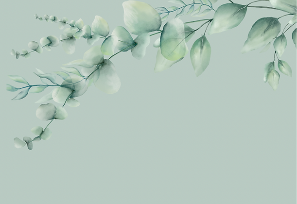 4B8B054A-D435-4900-9B4B-FC54C0249661_edited.png
