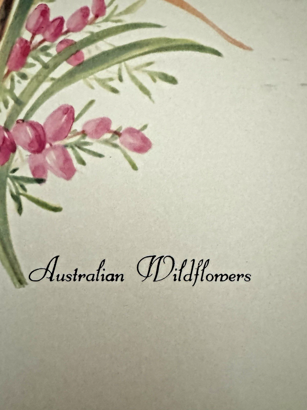 Thumbnail: Pimpernel VTG Acrylic Place Mats Set Of 2 American Wild Flower Vintage Table Set