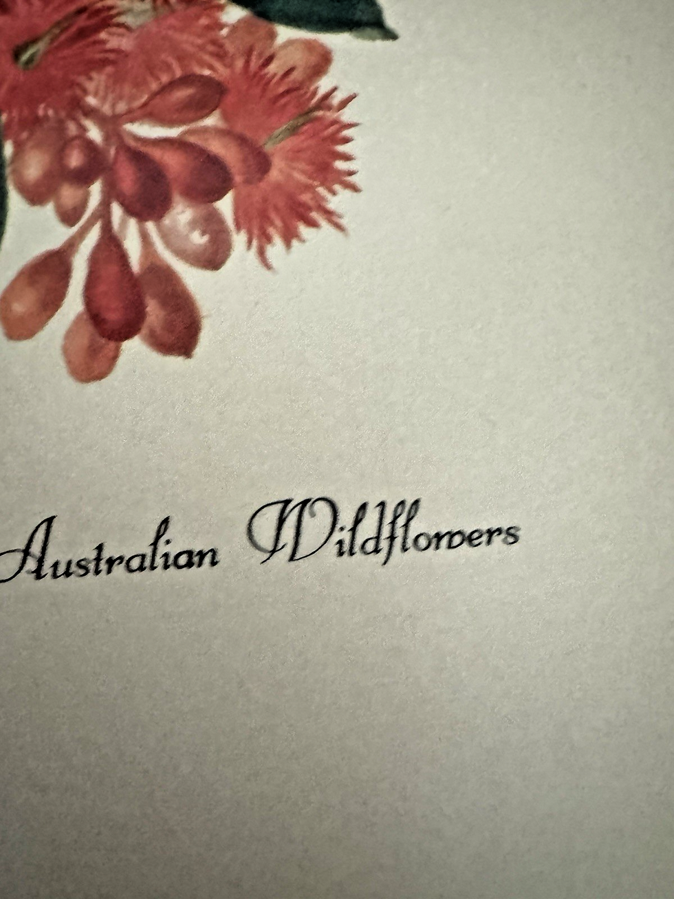 Thumbnail: Pimpernel VTG Acrylic Place Mats Set Of 2 American Wild Flower Vintage Table Set