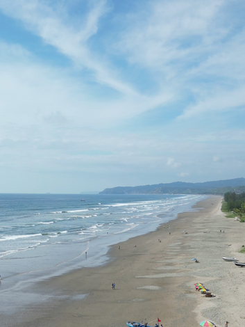 Screen Shot 2023-06-01 at 11.51.58.png