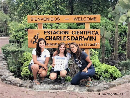 A new tool to identify introduced and invasive insects at the Galapagos Islands