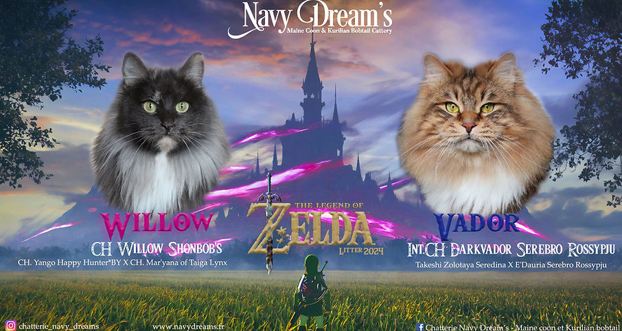 Willow x Vador 2024.jpg