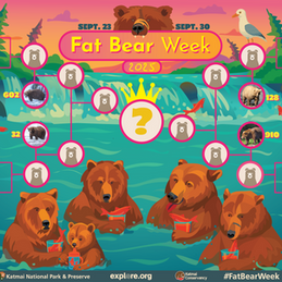 Fat Bear Week and the Law of Wild Animals