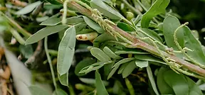 8584e8_b6f9b98a57cc409085083c4632d51fc2~mv2 (1).webp