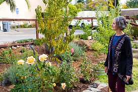 Grace Inspire, Life coaching, meditation, and yoga