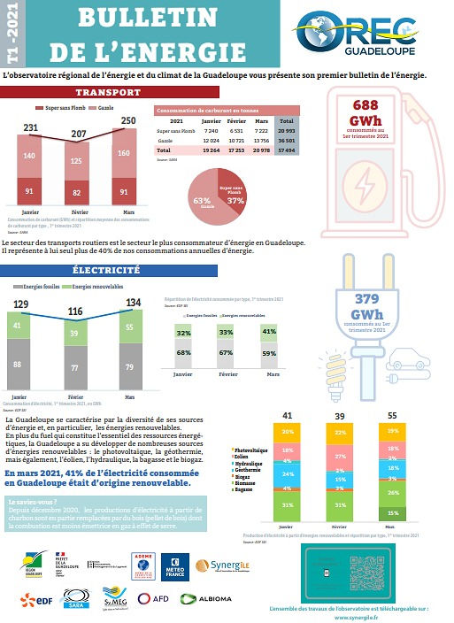 Energy report 2021 in Guadeloupe