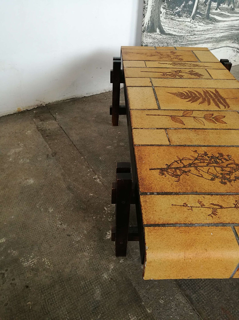 Miniature : Table basse herbier  R Capron