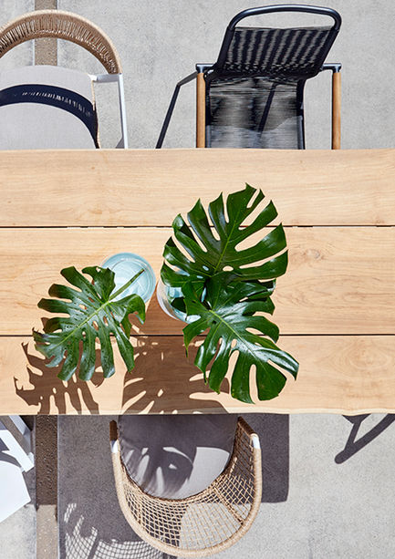 montara live edge eta main 1.jpg