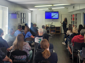 Attendees of a meeting watching a presentation