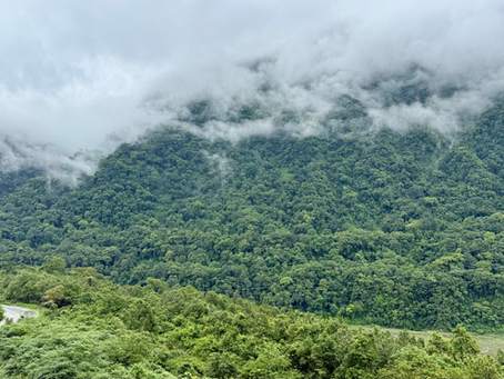 Exploring Arunachal Pradesh: A Journey Through Rain and Reverie