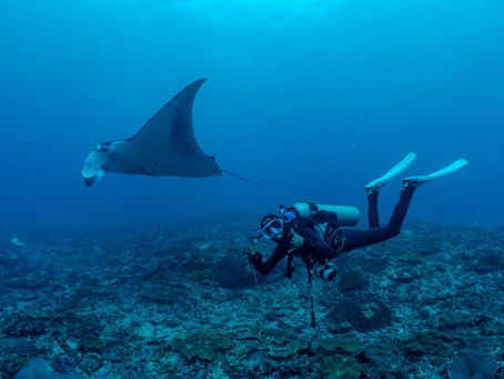 Discover Scuba Dive what to expect