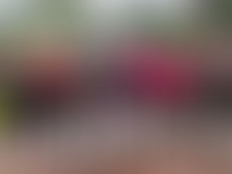 La UCYT Mantiene su nivel de Competencia