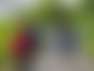 UCYT en Acción Ambiental