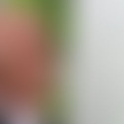 Papa León XIV nombra nuevo obispo para Honduras a Padre PAtricio