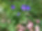 !cid_E7523F55-0121-4B46-BFEB-CD1327A4331