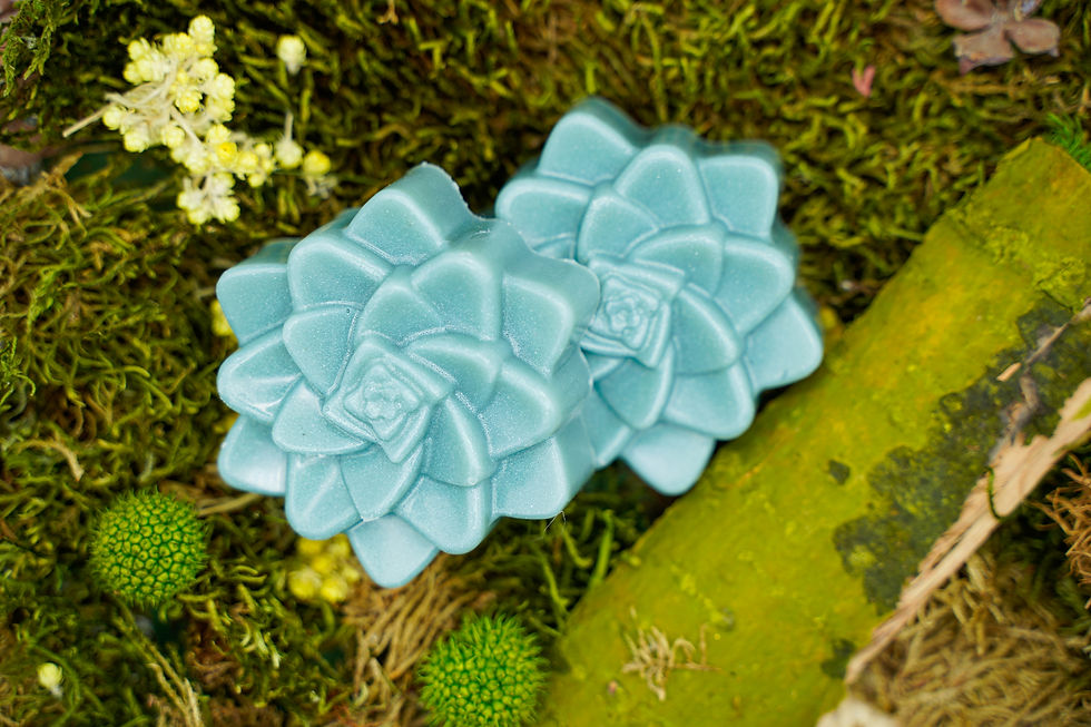 Thumbnail: Հանգստացնող օճառ