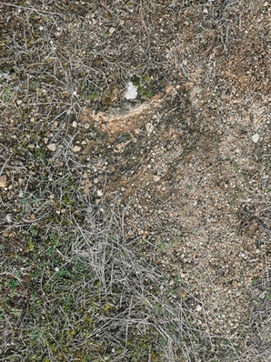 Paysages en mouvement : l'hiver, temps de jachère