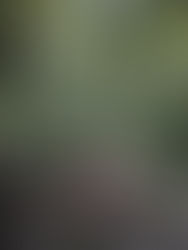 Réajuster nos perspectives vs superstitions