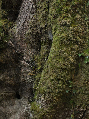Nos territoires (intérieurs)