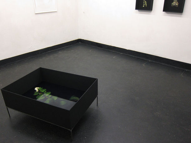 Ausstellungsansicht Konsistenzen_basement Wien_2018__IMG_8633.jpg