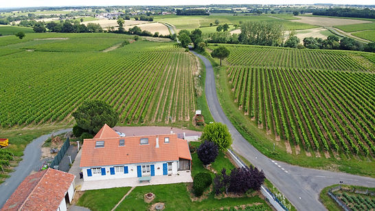 20200620 Domaine de Lucet (3).JPG