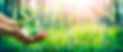 AdobeStock_422169803.jpeg